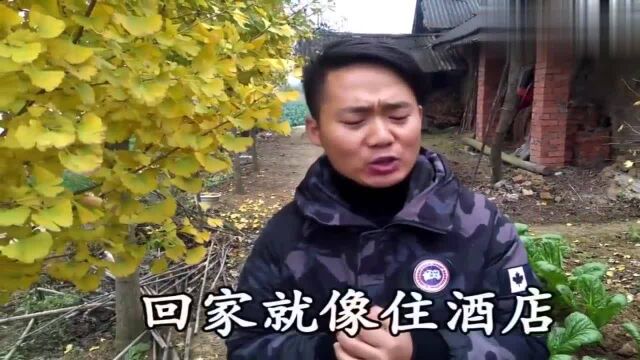 农村小哥,带来一首改编歌曲《坏男人》,歌词句句扎心