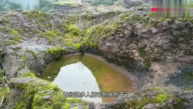 酉水河边神龟石,居然还是一对,神奇的是公龟背上出水常年不干.