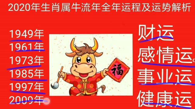 2020年生肖属牛流年全年运程及运势解析