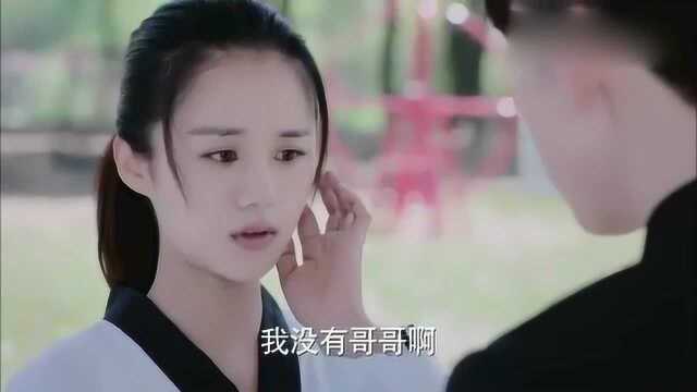 百草原来还有个哥哥,百草都忘记了,飞鱼却还记得?