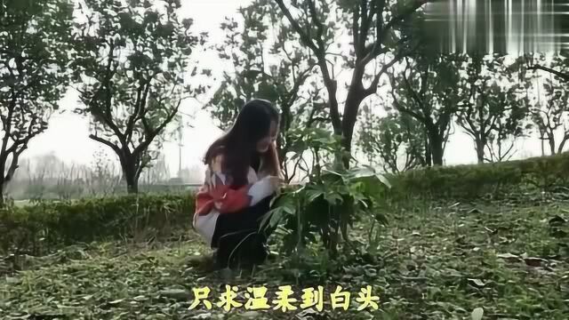 一曲《香吻留给心上人》太醉心了,歌优舞美,致给最亲爱的人