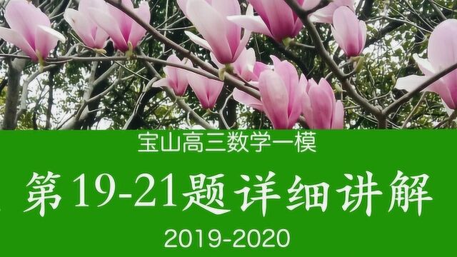 上海宝山区高三数学一模(20192020)(三)(1921题)