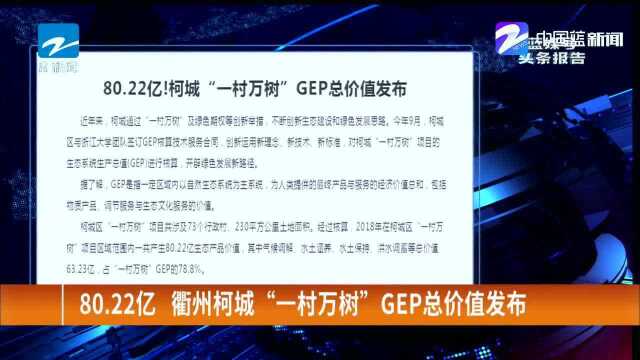 80.22亿 衢州柯城“一村万树” GEP总价值发布