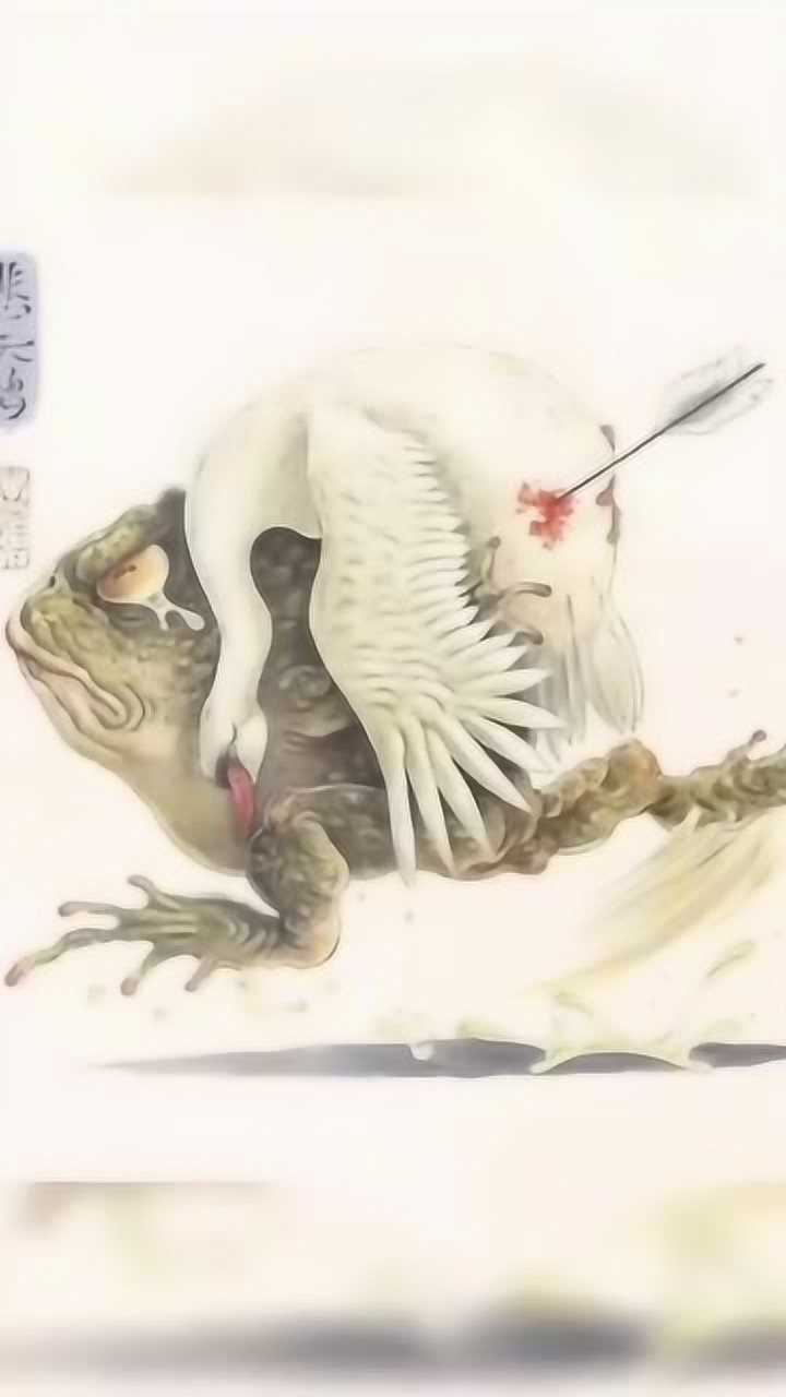 癞蛤蟆救天鹅这张图太真实了