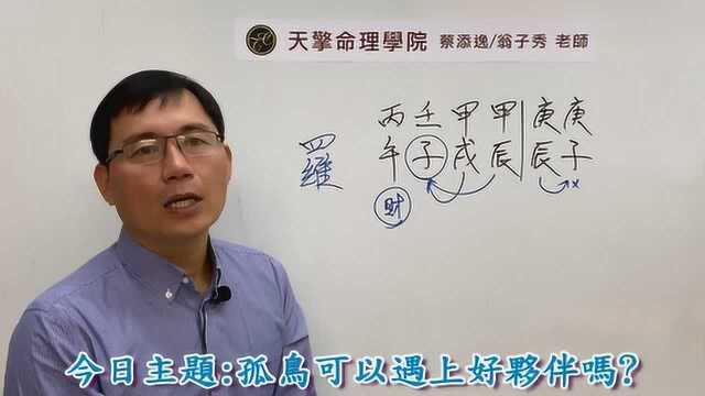 五行八字命理批命案例673堂:孤鸟可以遇上好夥伴吗?(台中客户)