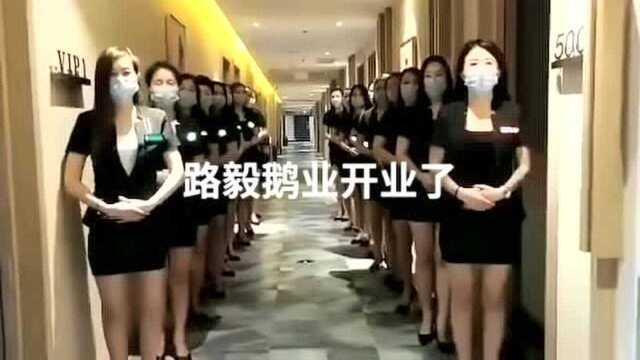 路毅鹅业,欢迎你