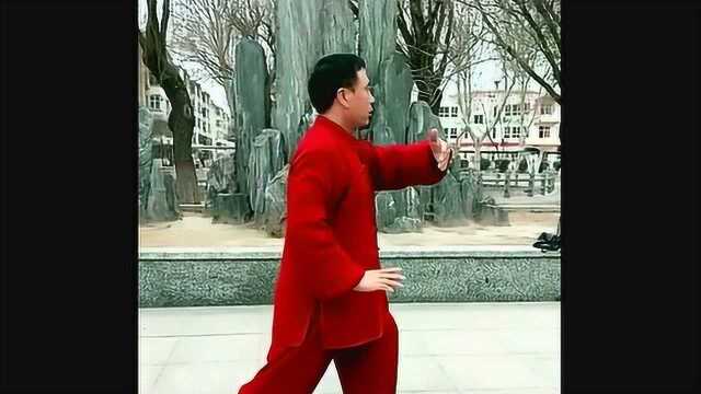 中华武术之太极拳:二十四式太极拳,第七式左揽雀尾讲解!