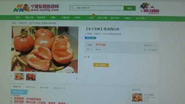 疫情期间宁夏出台措施发挥电商积极作用