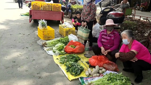 来宾市八一镇,乡镇好热闹,蔬菜新鲜又便宜,1大把芹菜才2块钱