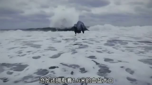 一代海洋霸主沧龙