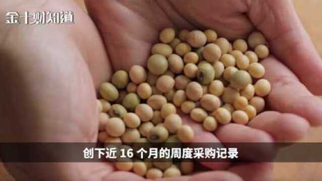 最新:中国买家一周采购超85万吨美豆!阿根廷拟对华出口更多大豆