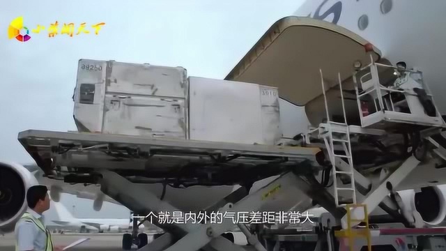 为什么飞机遇险时,航空公司宁愿赔几十亿,也要拒绝旅客跳伞求生