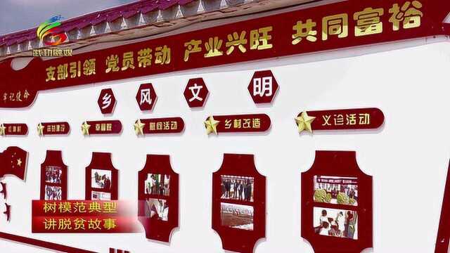 老百姓心中的好书记——记南仁社区 董辛村党支部书记史建伟