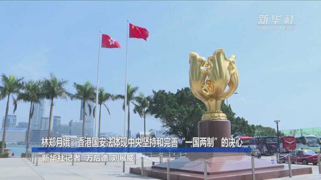 林郑月娥:香港国安法体现中央坚持和完善“一国两制”的决心