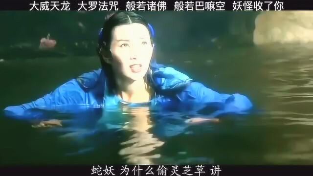 这个法海我觉得是最帅的法海了