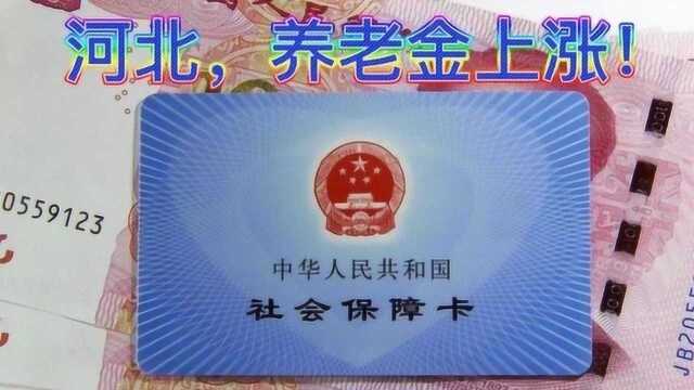 河北省2020年养老金调整方案公布,有4类人可以多领养老金!