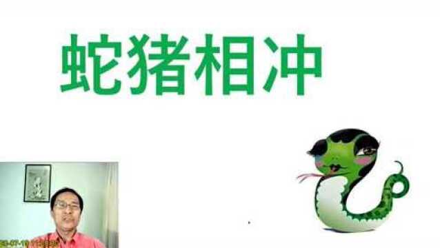 癸亥日,猪蛇相冲,为什么