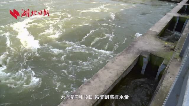 洪湖市科学调度排内涝 高湖村自救出2000亩农田