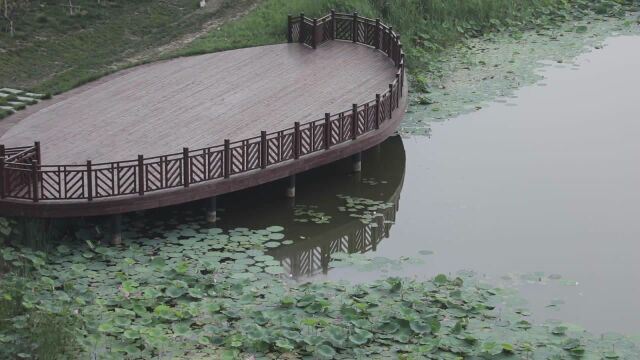 (电视通稿ⷥ›𝥆…ⷧ”Ÿ态)城市绿谷 生态屏障——走进天津双城绿色生态屏障区