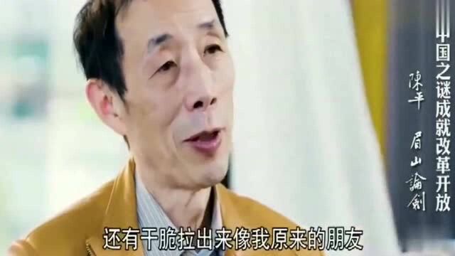 陈平教授:中国几代学者的血性是西方学者不容置喙的,任何人不容挑战!