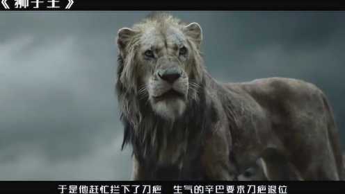 狮子王：小狮子辛巴被坏狮子追杀，成年后开始报仇