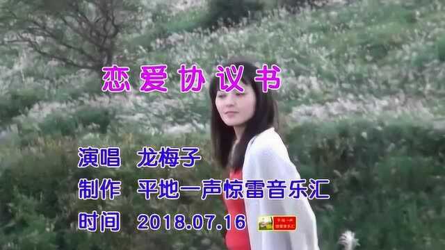 龙梅子最新情歌《恋爱协议书》现实,好听