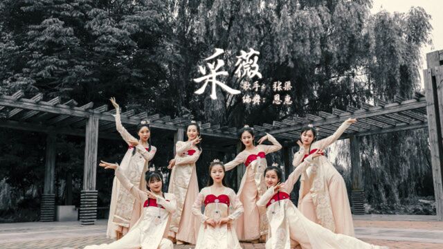 古风少女们的唯美古典舞《采薇》,这支唯美古风编曲舞蹈太美了!