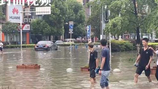 成都郫都区积水渐退 已有商家恢复营业