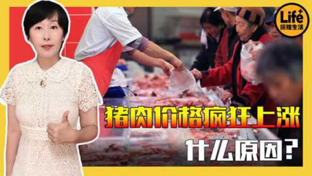 猪肉价格又疯长?背后原因是什么,会在短期内回落吗