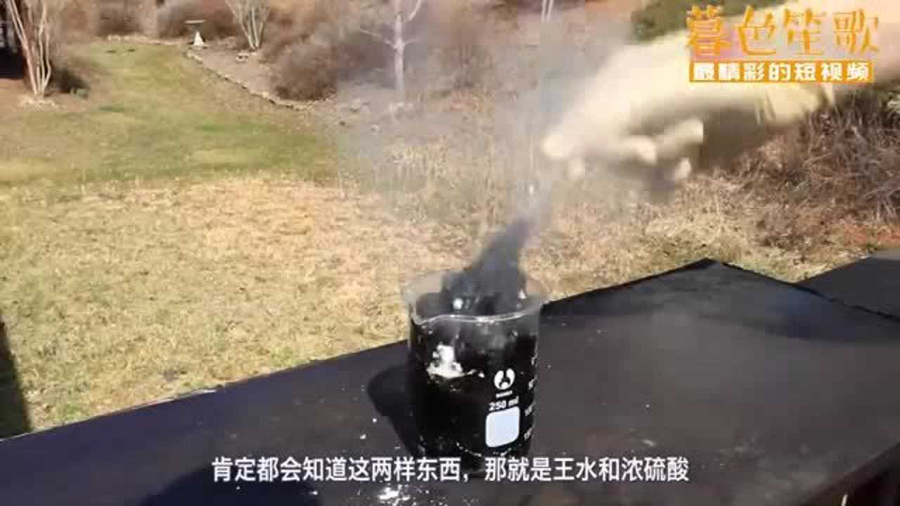 浓硫酸和王水的腐蚀性有多强老外亲身实验结果出乎意料