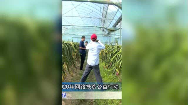 武宁县启动2020年网络扶贫公益行动