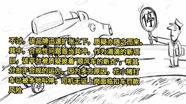 画说热点|“花小猪”被多地叫停 司机无证上岗面临扣车罚款风险