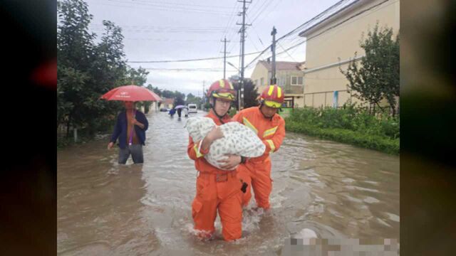 台风“巴威”青岛来袭,即墨各方力量抢险救灾守护家园