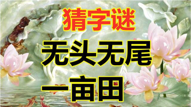 猜字谜:无头无尾一亩田,打一字,聪明人秒懂