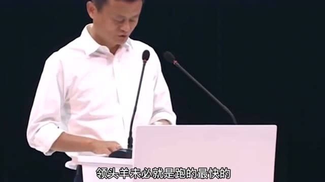 马云不懂技术,凭什么能创办科技公司?