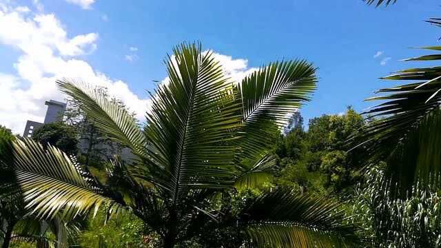 夏天就要远走,留下粤东农村夏日的景象,宇哥带你怀旧