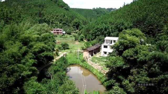 航拍广西大山,风水宝地﹕山冲里的二户人家背靠茂密的大山林