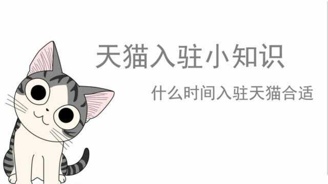 天猫入驻什么时间段比较合适