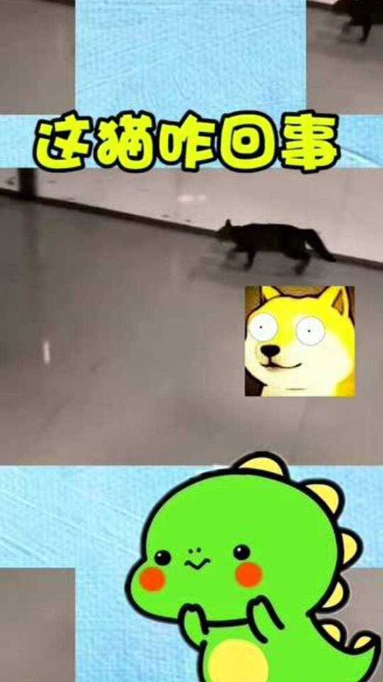 Thumbplayer Poster Plugin Image