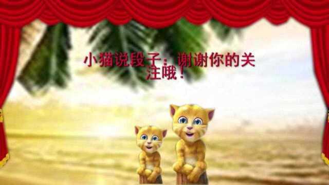 小猫讲笑话:熊孩子写作文,看一次笑一次,爸妈都气疯了!