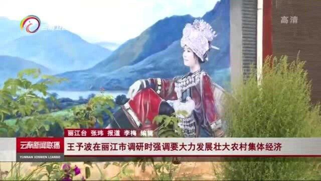 王予波在丽江市调研时强调要大力发展壮大农村集体经济