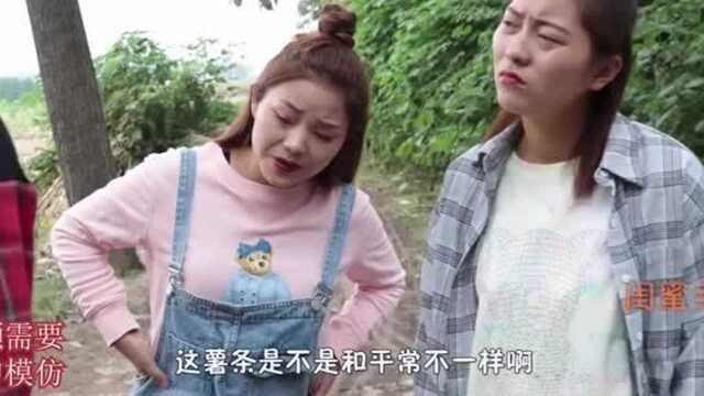 短剧:解救美人鱼5:小美寻找美人鱼,结果却意外发现薯条的秘密