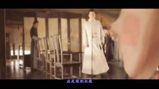 胡夏郁可唯演唱歌曲《知否知否绿肥红瘦》试问卷帘人却道海棠依旧