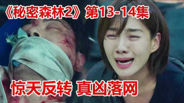 烧脑韩剧《秘密森林2》第13、14集!凶手落网,万万没想到竟然是“他”