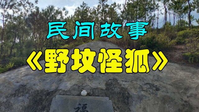 民间故事:《野坟怪狐》刘定是个可怜人