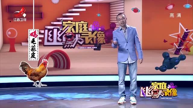 你知道吗?在古代,鸡是一种吉祥好运的象征,深受广大民众喜爱