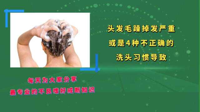 头发毛躁、掉发严重?或是4种不正确的洗头习惯导致