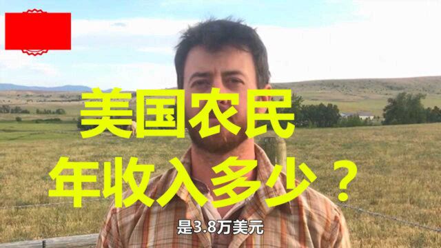 老外爆料:美国农民年收入多少?