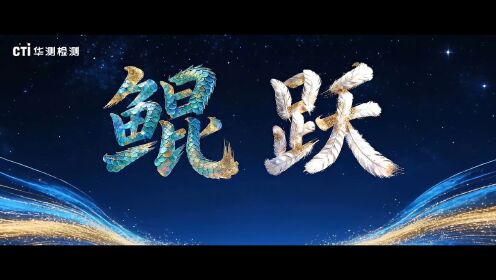 高清1080P在线观看平台_腾讯视频