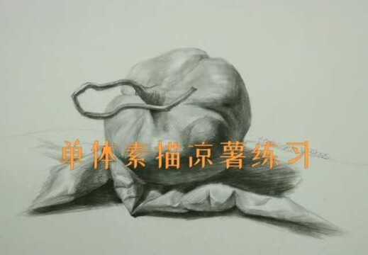 单体素描凉薯练习